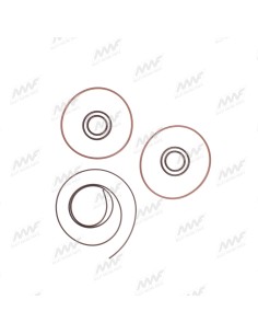 O'ring x2 2
